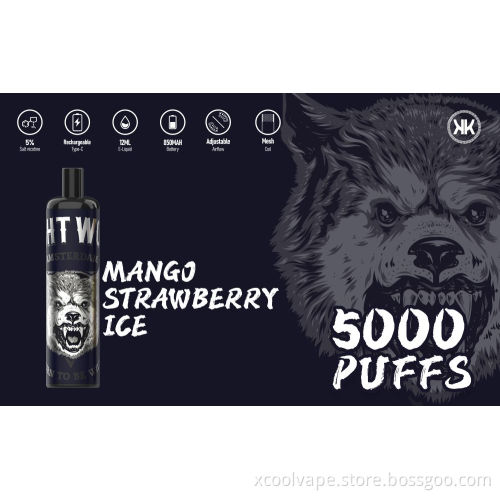 Russia hot Disposable Vape Pen 5000 puffs